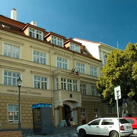 Magnolia Roudnice nad Labem