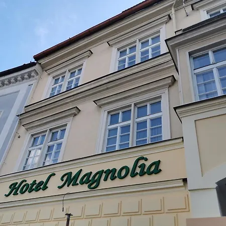 Magnolia Hotel 3*