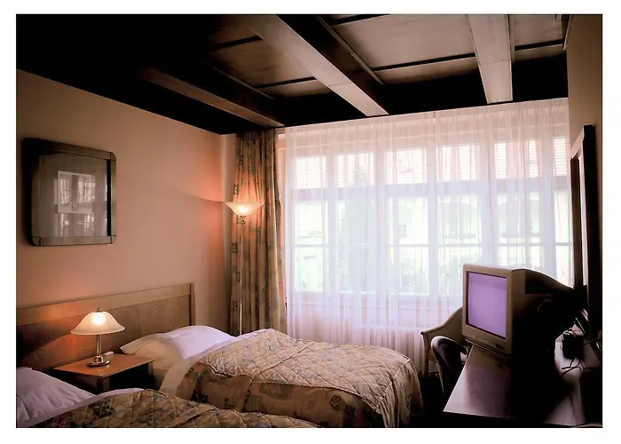 Magnolia 3*
