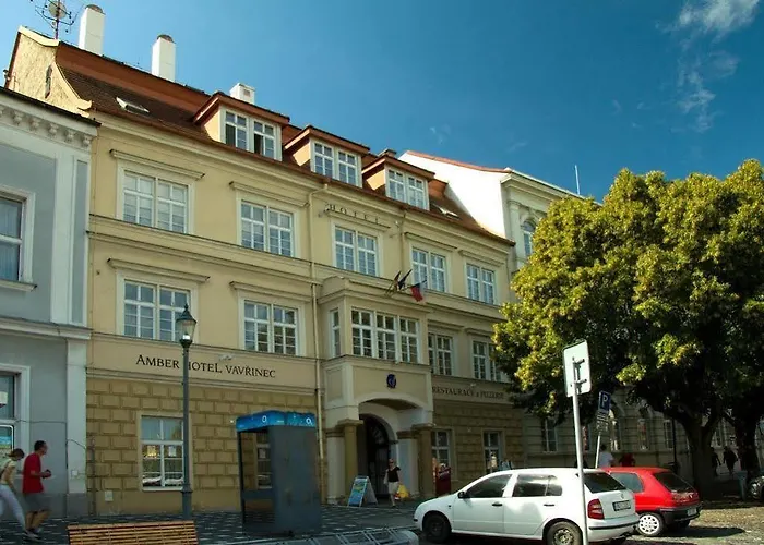 Magnolia Roudnice nad Labem